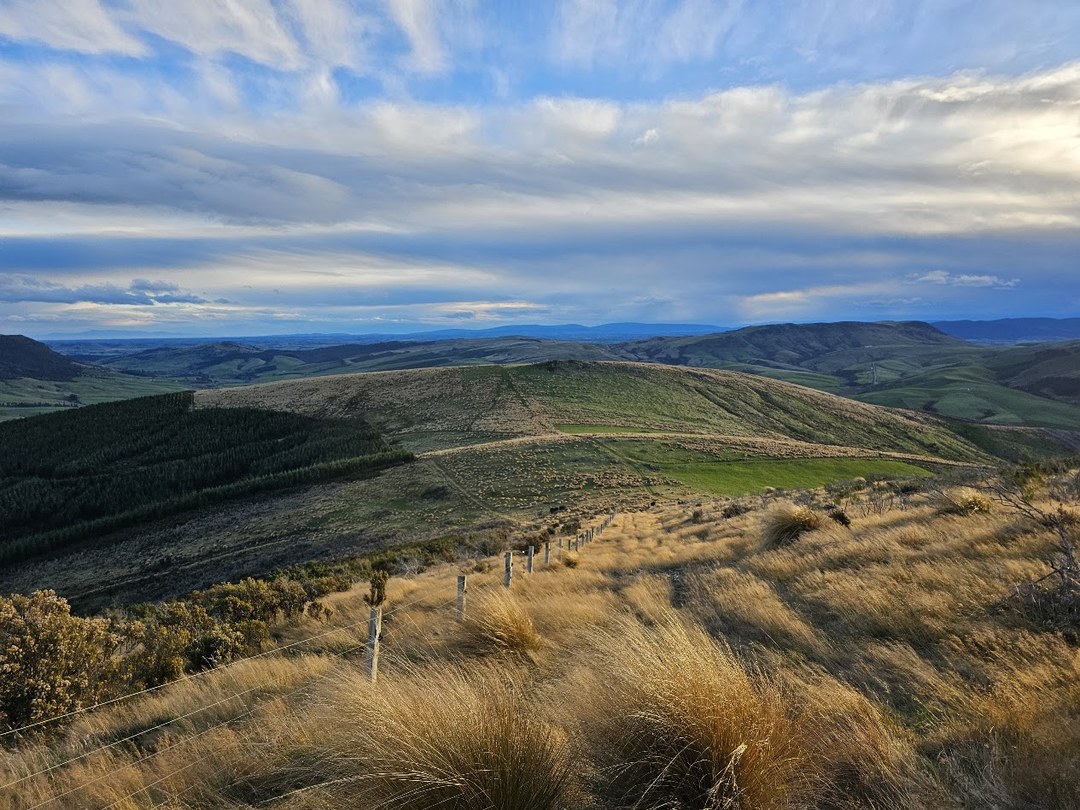 Hokonui Wind Farm — view along the ridgeline across rolling Southland farmland